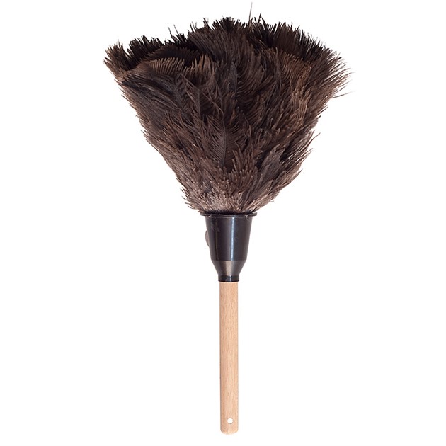 Strutsdammvippa 15 cm